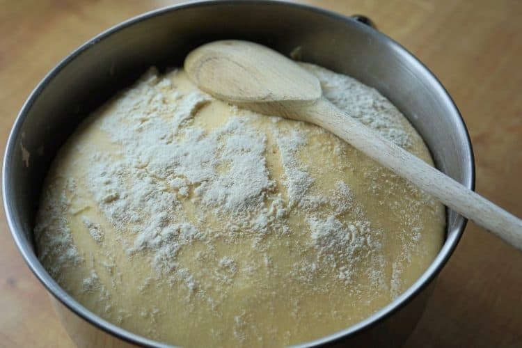 Where To Put Dough To Rise And What Temperature Is Best? – Food To Impress