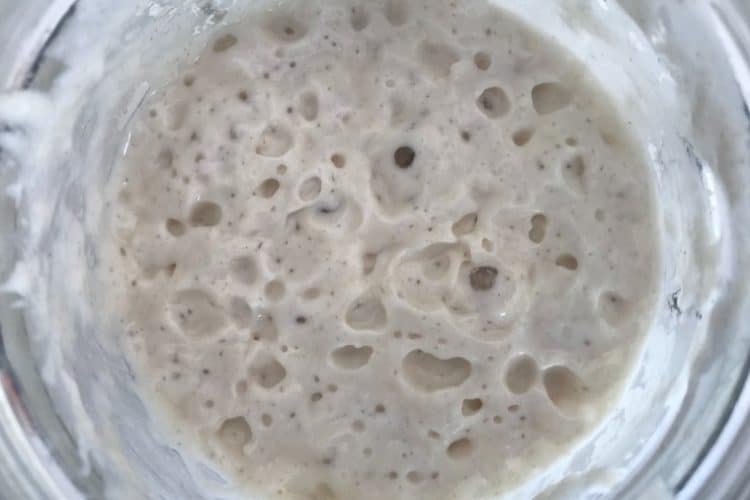 Can You Use Sourdough Starter Straight From The Fridge Food To Impress